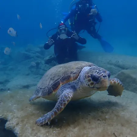 Enosis Apartments - Alia Beach House בית נופש