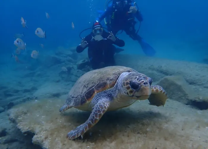 Enosis Apartments - Alia Beach House בית נופש